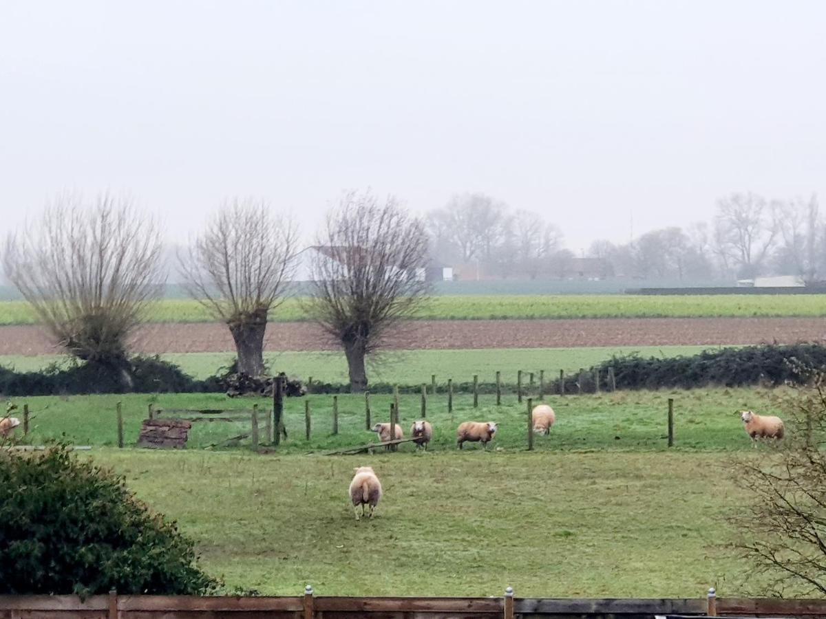 Luppolo Vakantiehuis Westhoek Alveringem المظهر الخارجي الصورة